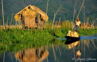  Songes-aquatiques 4 Inle Paysan refletreccorr.thumb.jpg